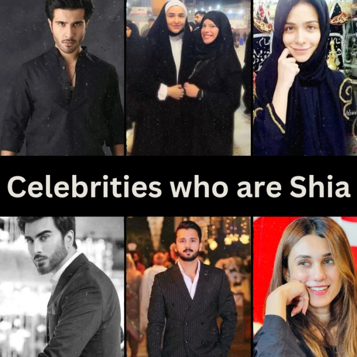 pakistani shia celebrities