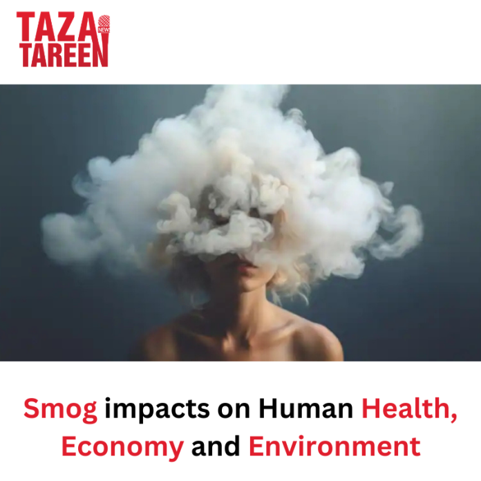 smog impacts