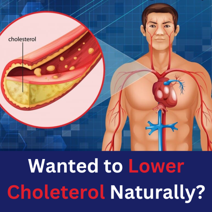 Lower Cholesterol Naturally